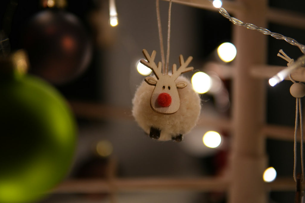 Ornament hanging on a Christmas tree